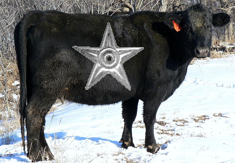 File:Cowbarnstar.jpg