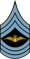 Danish Airforce OR-8 Sleeve.svg
