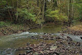 <span class="mw-page-title-main">Dowles Brook</span> Stream in Shropshire and Worcestershire, England