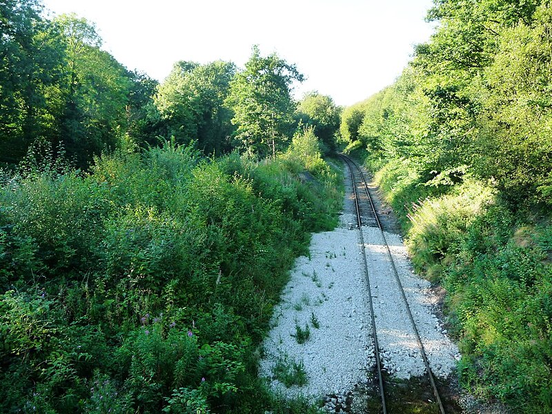 File:Ecclesbourne Valley Railway's Ravenstor Branch - geograph.org.uk - 5108672.jpg