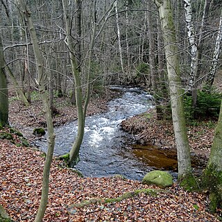 Die Ecker im niedersächsische