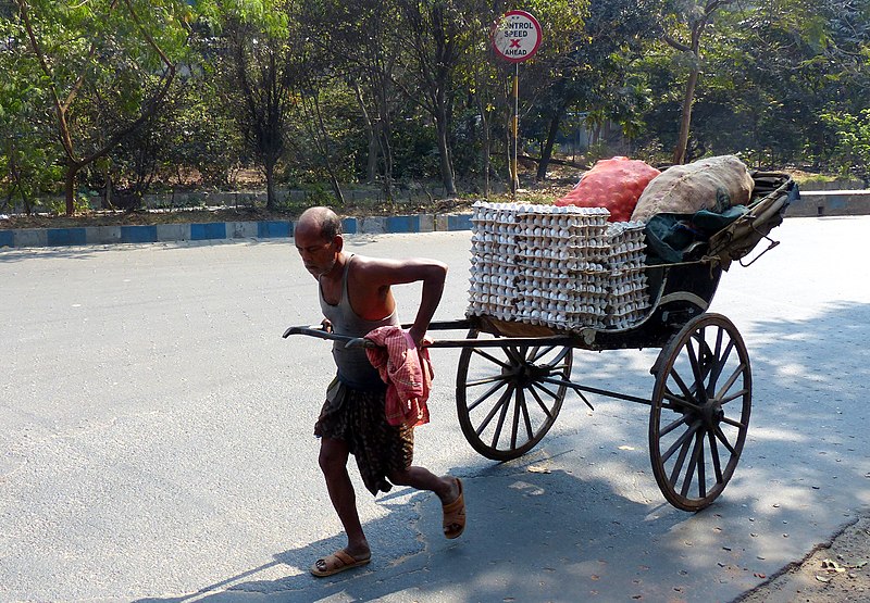 File:Egg Rickshaw (14660614169).jpg