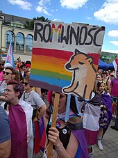 Cheems portrayed at an LGBT march in Wroclaw, Poland. Note that rownosc (equality) is spelt ro
m
wnosc, roughly equivalent to "emquality" Equality March 2022 in Wroclaw - Cheems.jpg