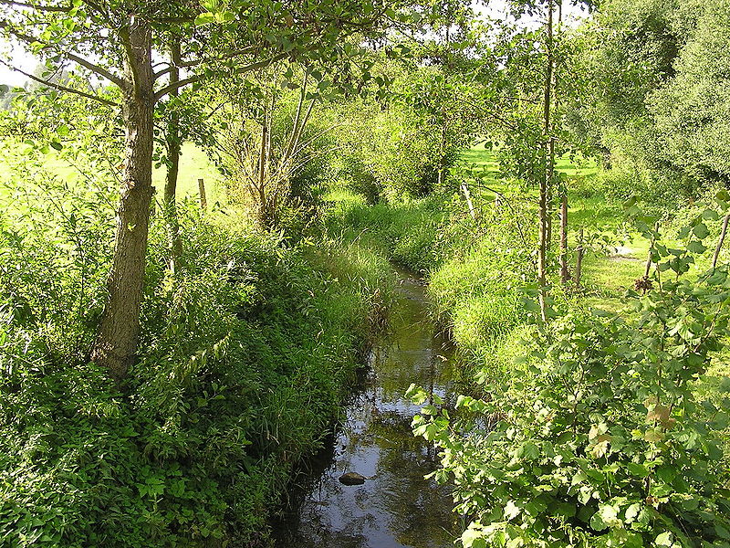 File:Erlenbach TS Lochmuehle.jpg