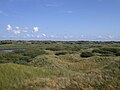 Duinlandschap op Fanø