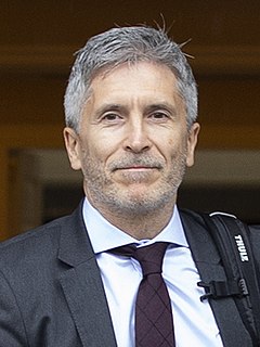 Fernando Grande-Marlaska Spanish jurist and judge