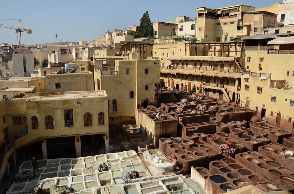 Fez tannery 2018 1