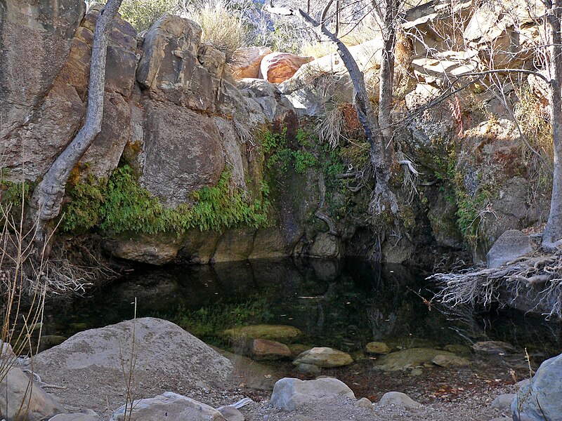 File:First Creek Canyon water 2.jpg