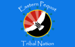 Thumbnail for Eastern Pequot Tribal Nation