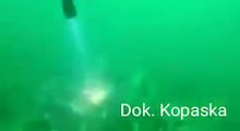 File:Footage from the KOPASKA showing efforts to search the remains of the Sriwijaya Air Flight 182.webm