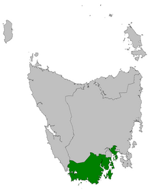 Mapa dos Tasmânia divisões do Conselho Legislativo, Derwent em destaque na carmesim.