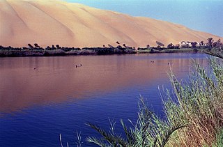 <span class="mw-page-title-main">Gaberoun</span> Oasis in Libya