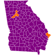Resultats electorals per comtat a Geòrgia