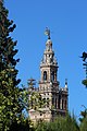 Giraldillo, taken from the Real Alcazar (Seville).