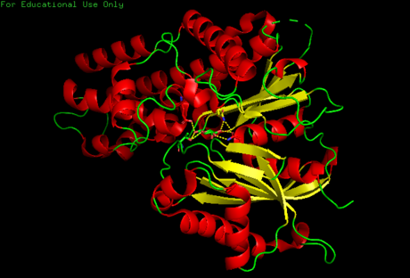 Binding site