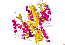 Кристаллографическая структура димерного белка-глутаминазы из Chryseobacterium proteolyticum[1].