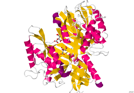 Glutaminase