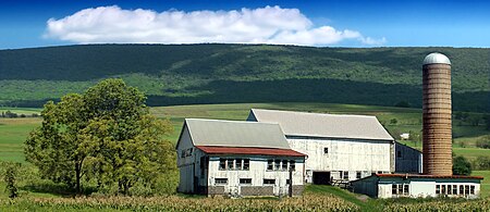 Great Valley Tilden Township