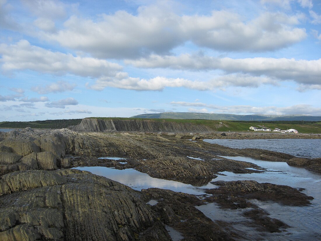 File:Green Point Newfoundland.jpg