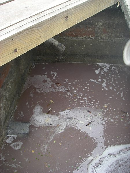 Greywater (a component of sewage) in a settling tank