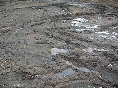Various tracks in mud in Moscow