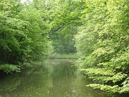 Groß Gerau parko Fasanerie 3