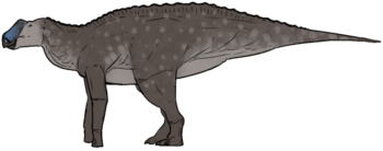 Gryposaurus notabilis.png