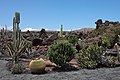 * Nomination Jardín de Cactus, Guatiza, Lanzarote, Spain--Lmbuga 20:07, 14 September 2011 (UTC) * Promotion Good quality. --Someone35 13:03, 15 September 2011 (UTC)