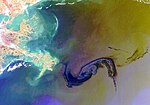 Gulf of Mexico oil spill seen from space.jpg