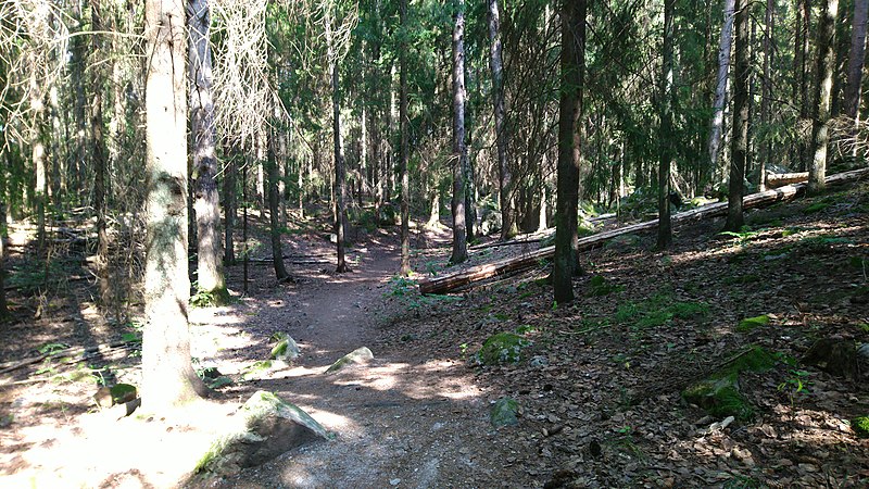 File:Hässelbyskogen.jpg