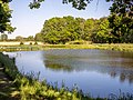 * Nomination Fish pond near Höchstadt an der Aisch --Ermell 10:54, 27 May 2022 (UTC) * Promotion  Support Good quality. --Tournasol7 14:26, 27 May 2022 (UTC)