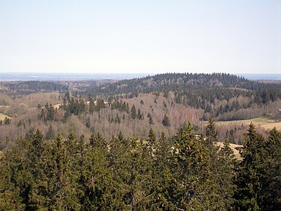 Keväinen näkymä näkötornista. Haanjan ylänköä.