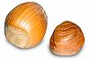 Два круглых ореха, один с скорлупой, а другой без, от желтого до светло-коричневого цвета.