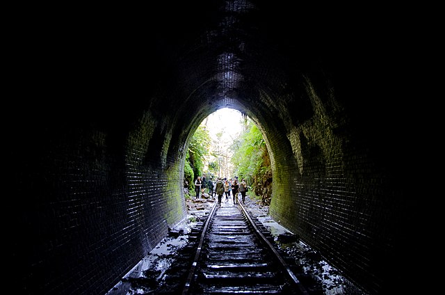 Haunted: Glow Worm Tunnel / Conservation 640px-Helensburgh_Tunnel_%28227543415%29