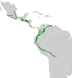 Henicorhina leucophrys map.svg