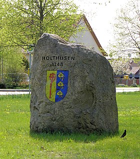 Horizonte de Holthusen