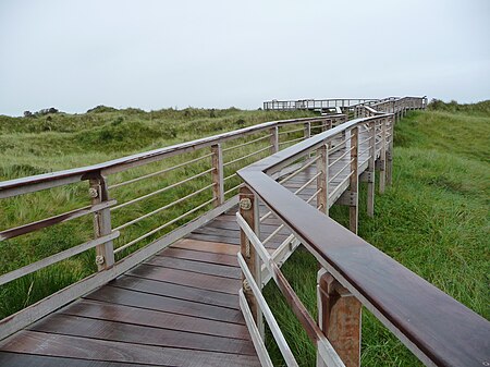 Holzbrücke Otto Leege Pfad