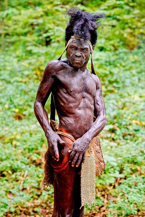 Reconstruction of early Homo sapiens from Jebel Irhoud, Morocco c. 315 000 years BP