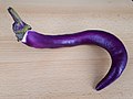 Aubergine: Skildring, Bruk, Produksjon