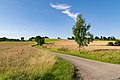 * Nomination Landscape west of Bellenberg, Horn-Bad Meinberg, Germany --Tsungam 06:43, 23 July 2018 (UTC) * Promotion Good quality, Tournasol7 06:55, 23 July 2018 (UTC)