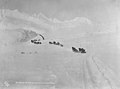 Horse drawn sleds at the summit of Thompson Pass, Alaska, circa 1908 (AL+CA 4712).jpg