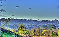 Hot Air Balloons over Olivenhain CA 2.jpg