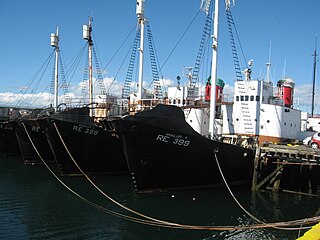 Whaling in Iceland