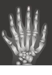 File:Inkscape-Hand-traced.svg