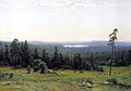 «Река Кама вдали», 1884