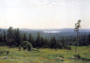 Distanza dalla foresta, 1884