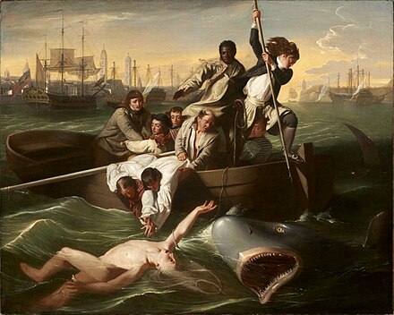 Watson and the Shark (1778) by John Singleton Copley