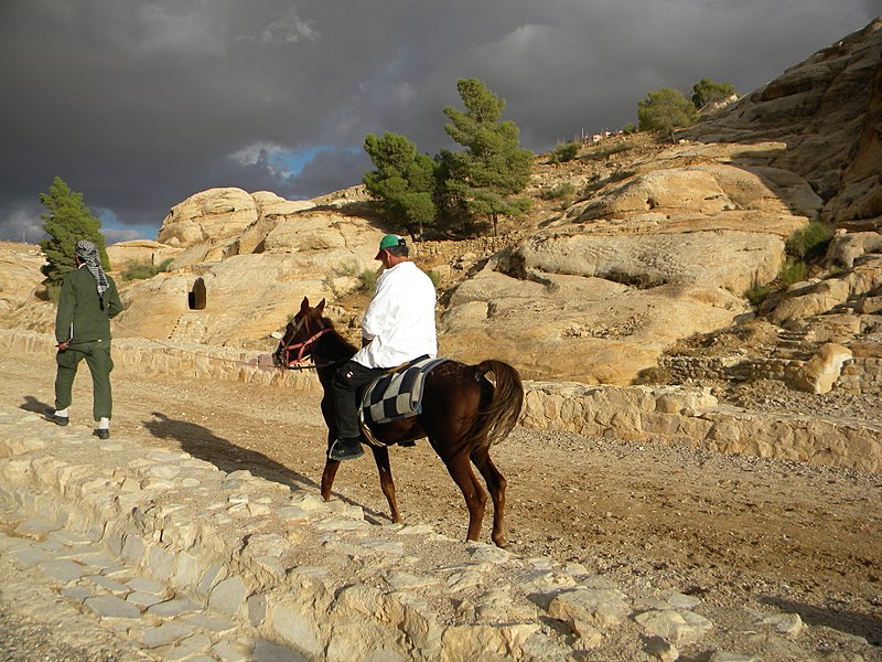 File:Jordan, Petra, (Horseman in the landscape); DSCN1208.jpg