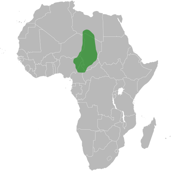 File:Kanem-Bornu.svg