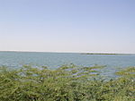 Keenjhar Lake Thatta.jpg